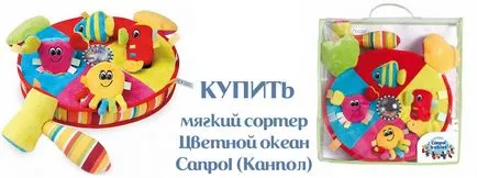 Sorter - отлично зареждане мозъците за деца от 6 месеца