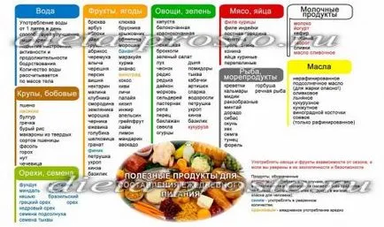 Списъка с продукти за правилното хранене и загуба на тегло, можете да ядете