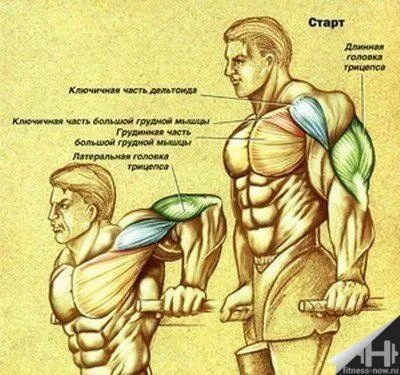 Как да се увеличи броят на лицеви опори на баровете - фитнес веднага!