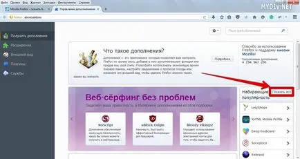 Как се инсталира плъгин за Mozilla Firefox (плъгин) Как се инсталира плъгин за Mozilla Firefox
