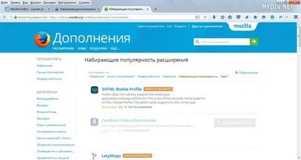 Как се инсталира плъгин за Mozilla Firefox (Firefox) Как се инсталира плъгин за Mozilla Firefox