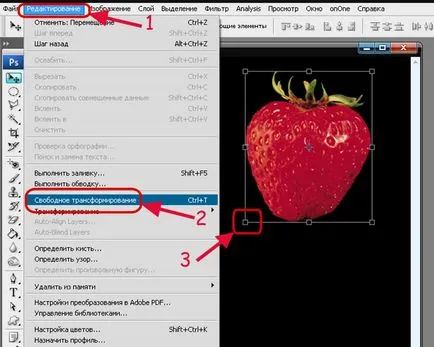 За да увеличите или намалите инструментите за трансформация обект, otfotoshopit!