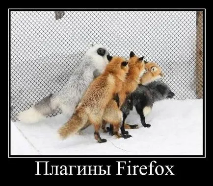 Как да инсталирате приставката за браузър Mozilla Firefox