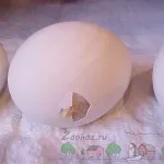 Как да се излюпват пиленца фото и видео преглед