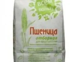 Как да расте ечемик време сеитба, скорост на засяване