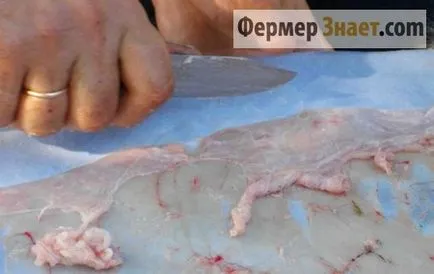 Как загоряла кожи овен тайни за споделяне на дома