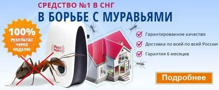 Как да се оттегли от мравките апартаментните завинаги