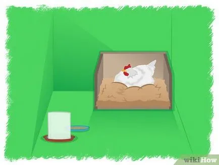 Като заключение на пилета