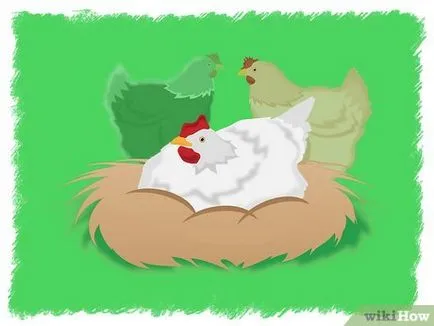 Като заключение на пилета