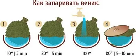 Как парено метла за баня, помислете за всички варианти