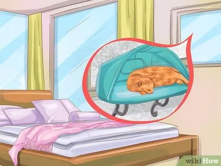 Как да си направим една котка за спане до вас
