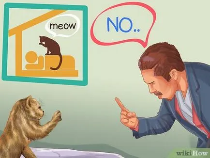 Как да си направим една котка за спане до вас