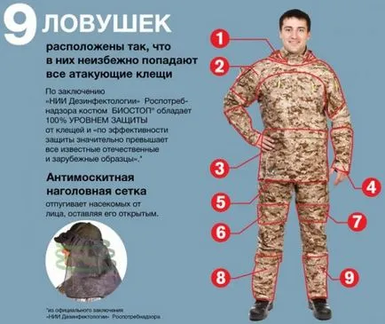 Как да се предпазите от кърлежи Как да изберем най-подходящите дрехи за да се предпазят, снимката изглежда като