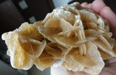 Stone Desert Rose (Тунис) свойства на минерала и изглежда като
