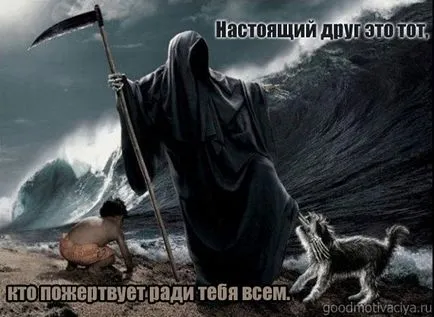 Снимки за приятели с чувство за