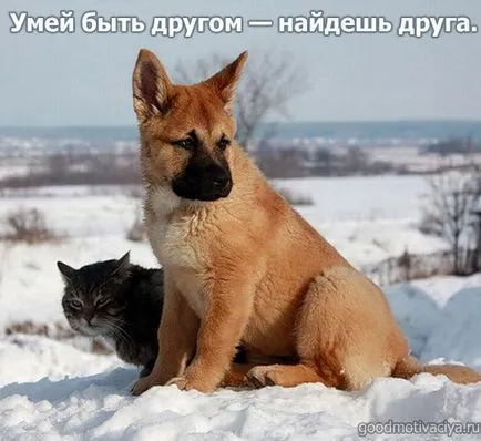 Снимки за приятели с чувство за
