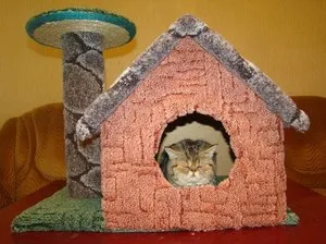 Острене на нокти за котки с ръцете си снимки и майсторски клас, за да направим обучение в дома