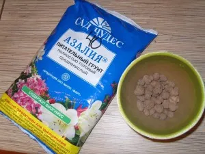 Стая tsvtok азалия - грижи, трансфер и репродукция в дома, видовете и сортовете на азалии ((за азалия грижи) Стая tsvtok азалия - грижи, трансфер и репродукция в дома, видовете и сортовете от азалии (
