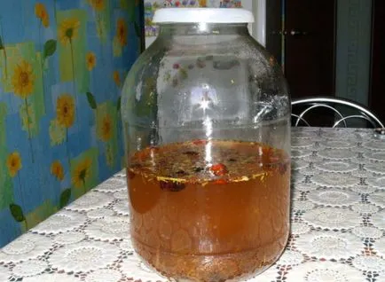 Cognac на лунна светлина в дома стъпка по стъпка рецепти