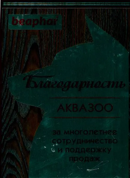 Храна за котки и кучета и vetapteka - три котки