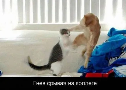 Кратки инструкции за това как правилно да работят в петък)))