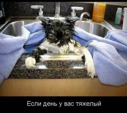 Кратки инструкции за това как правилно да работят в петък)))