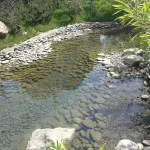 Пейзаж крайградски район (дизайн) Ландшафтен дизайн крайградски район