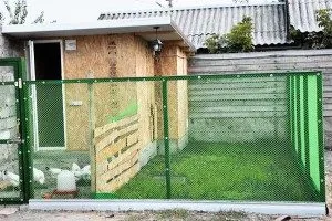 Кокошарник в продължение на 10 пилета с ръцете си рисунки, снимки и проектира кацалки за кокошки носачки, на няколко видео