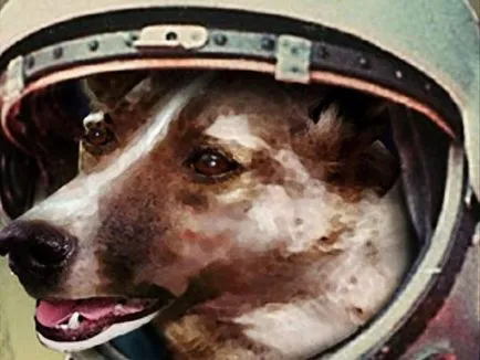 Laika първото куче в космоса