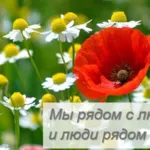 Най-доброто нещо, което може да направи за децата си, за придобиване на силата на любовта (отношения) Най-доброто нещо, което може да направи за децата си, за придобиване на силата на любовта