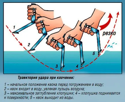 Залавянето на сом на Куок структура на характеристиките на риболовните уреди (сом) Улавянето сом на Куок структура на характеристиките на риболовните уреди