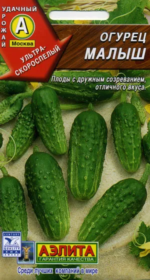 Най-добрите сортове краставици за ецване и консервиране - подробен преглед!