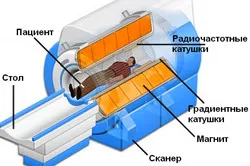 бъбреците и ядрено-магнитен резонанс, който показва как процедурата