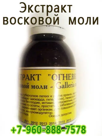 Възможно ли е да се получи TB в клиниката на туберкулозата при посещение на пациенти, сушени крикет