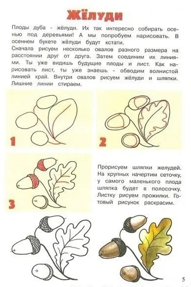Имената на дърветата и техните листа