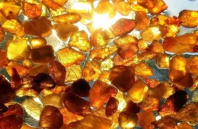 Нелекувана кехлибарени полезни свойства и изглежда (кехлибар) Нелекуваната кехлибар полезни свойства и изглежда като