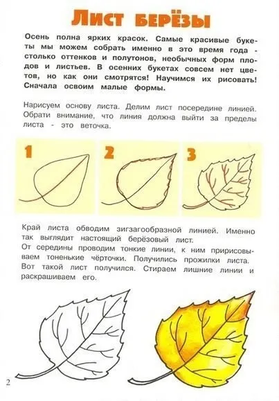 Имената на дърветата и техните листа