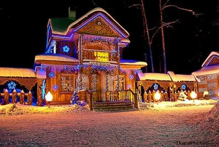 Национален парк Беловежката гора (Forest) Национален парк Беловежката гора