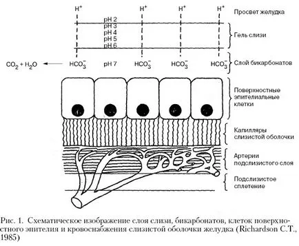 Натриев бикарбонат (сода)
