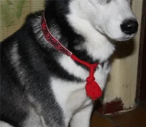 Charm за кучета