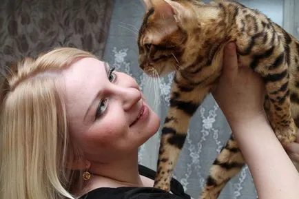 За нас - детски бенгалски котки bengamur