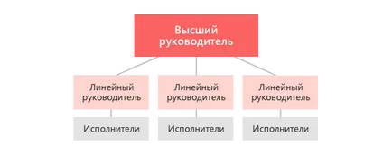 Организационната структура и видове - схема