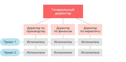 Организационната структура и видове - схема