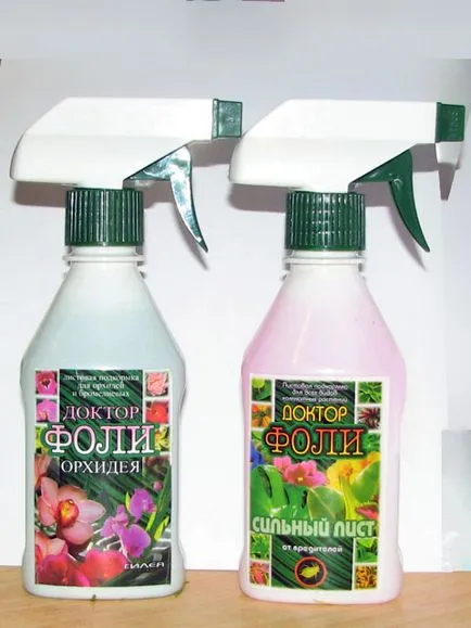 Orchid разцъфтя, какво да правя със стрелка, като е нарязано, как да се трансплантира завод в друга саксия
