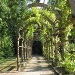 Pergola с ръцете си, как да се направи градина арка да се даде, инструкция, фото дизайн - Invision Power Board