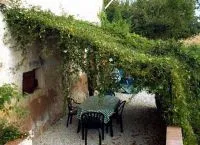Перголи и арки, направени от дърво за градината
