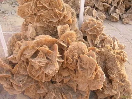 Sandy Desert Rose - най-необичайни природни образувания - морето на факти