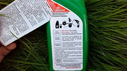 Защо листата пожълтяват орхидея в болестта и нейното лечение