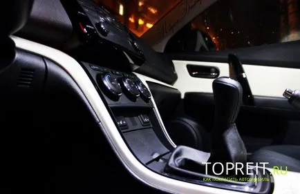 кожата оцветяване в картината на интериора на колата у дома
