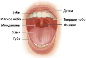 Постоянно червено гърло при възрастни и не минава каква е причината и какво да правя